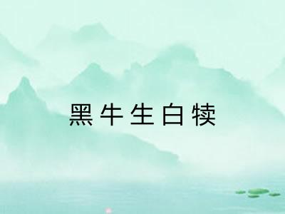 黑牛生白犊