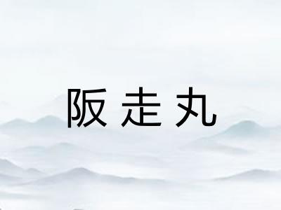 阪走丸