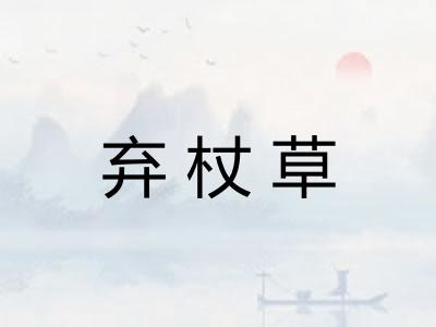 弃杖草