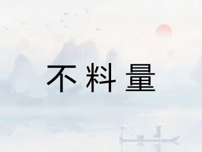 不料量