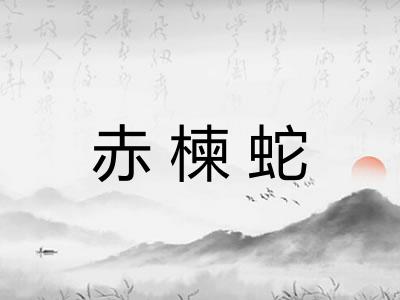 赤楝蛇