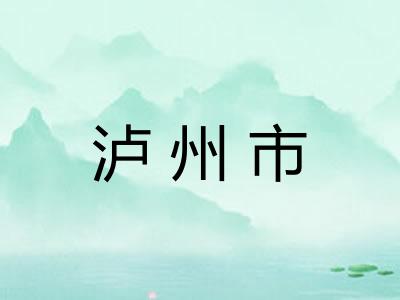 泸州市
