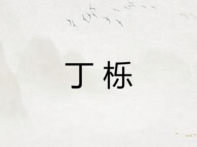 丁栎