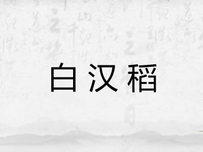白汉稻