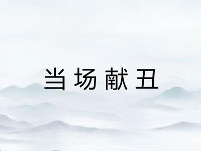 当场献丑