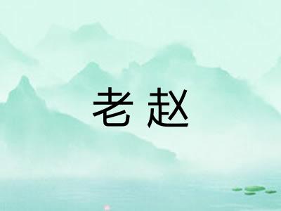 老赵