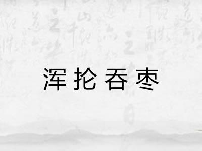 浑抡吞枣