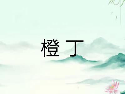 橙丁