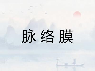 脉络膜
