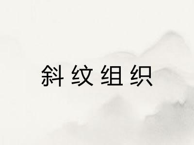 斜纹组织