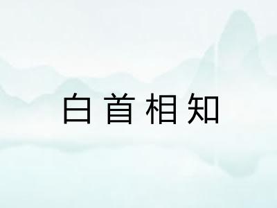 白首相知