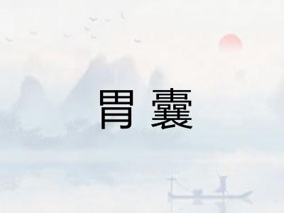 胃囊