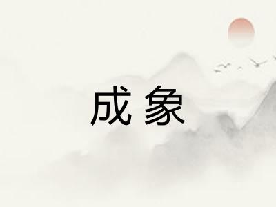 成象