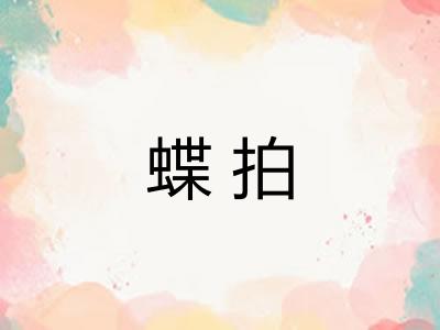 蝶拍