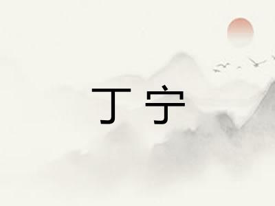 丁宁