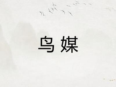 鸟媒