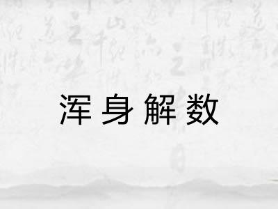 浑身解数