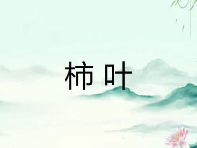 柿叶