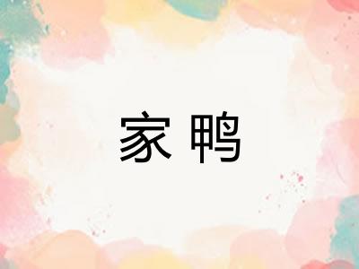家鸭