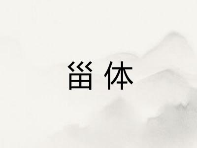 甾体
