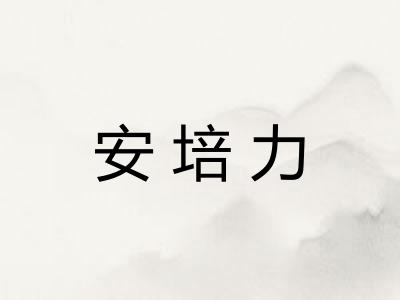 安培力