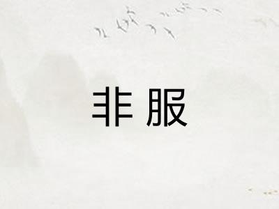 非服