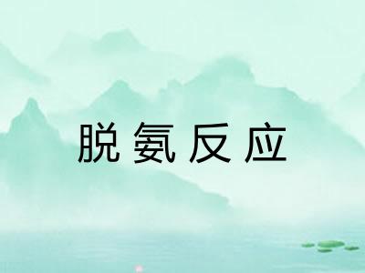 脱氨反应