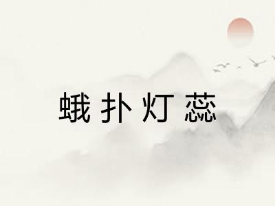 蛾扑灯蕊