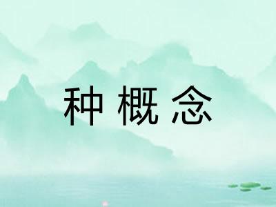 种概念