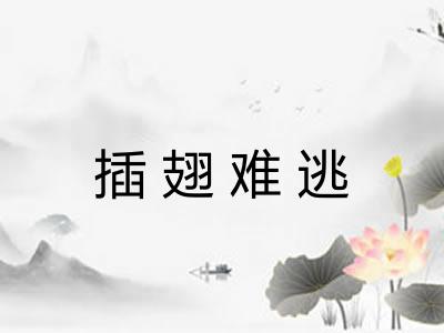 插翅难逃