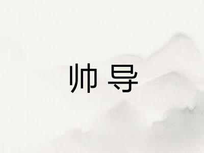 帅导