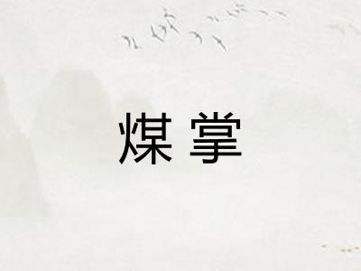 煤掌