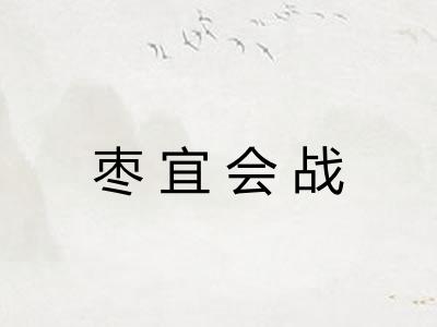 枣宜会战