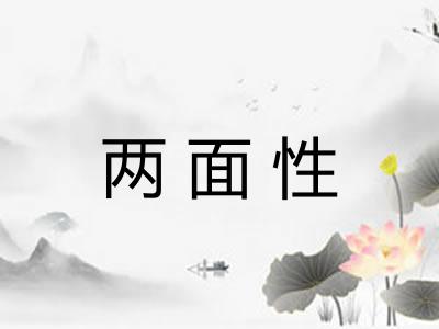 两面性