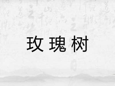 玫瑰树