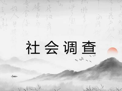 社会调查