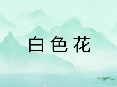 白色花