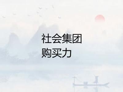 社会集团购买力