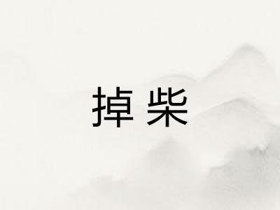 掉柴
