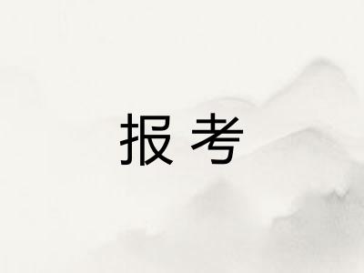 报考