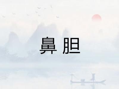 鼻胆