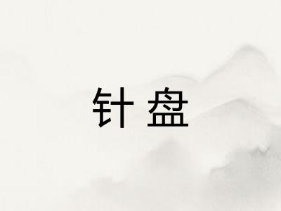 针盘