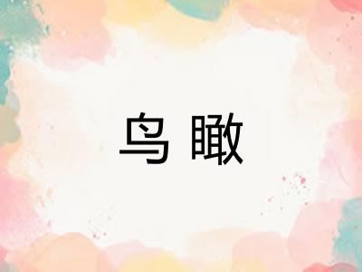 鸟瞰