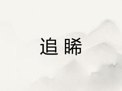 追睎