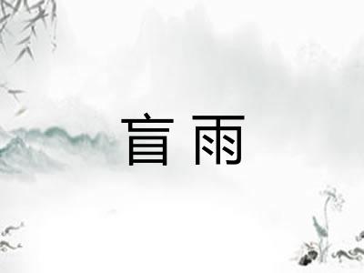 盲雨