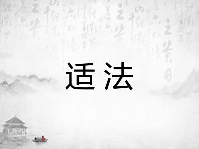 适法