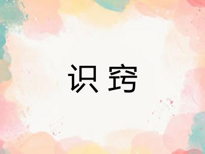识窍