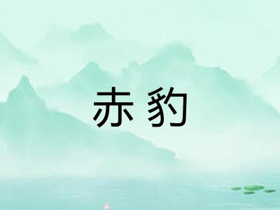 赤豹