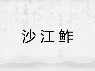 沙江鲊