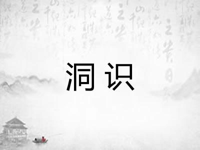 洞识